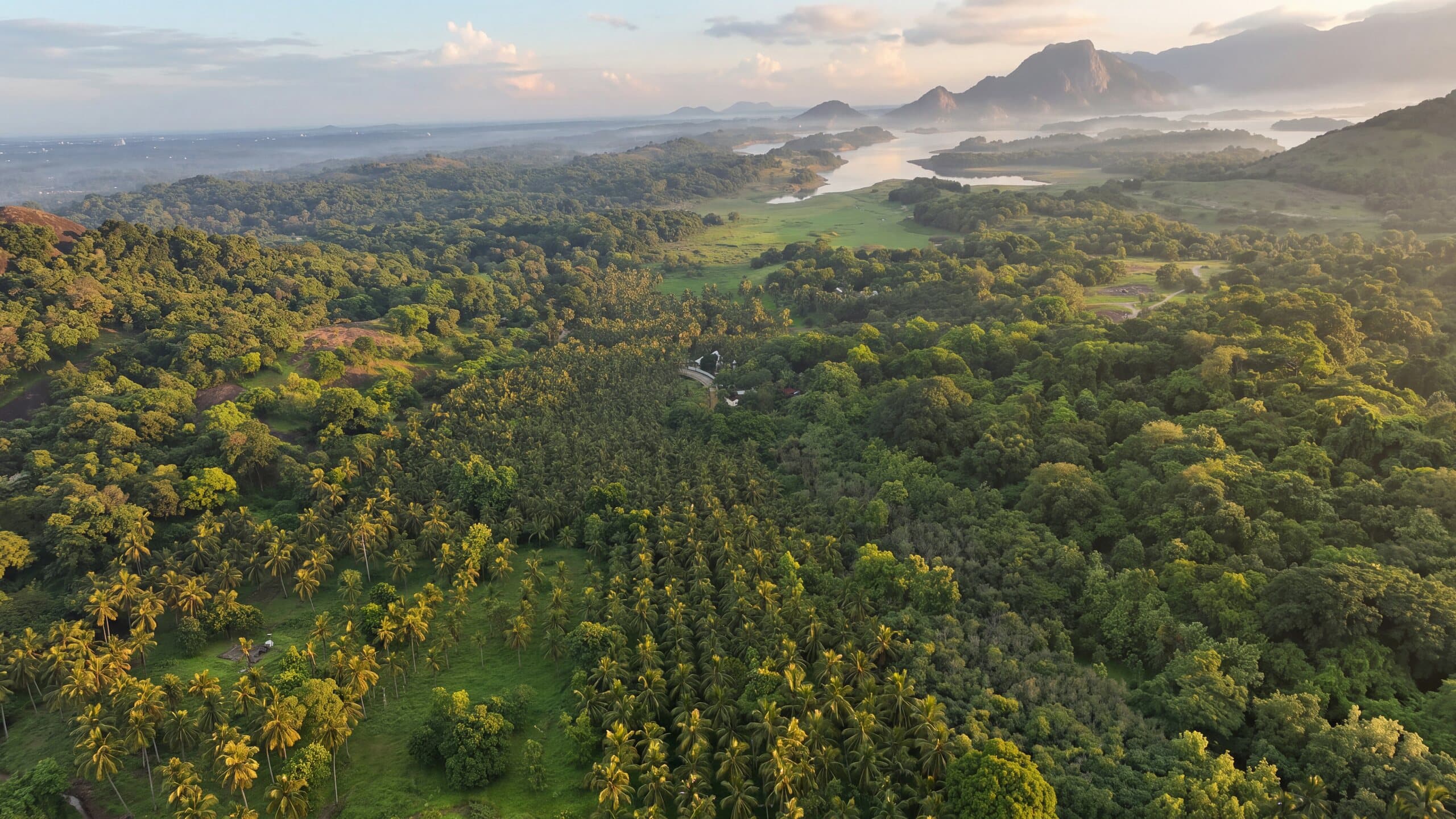 The estate from the air at sunrise — grove, lake and the Western Ghats